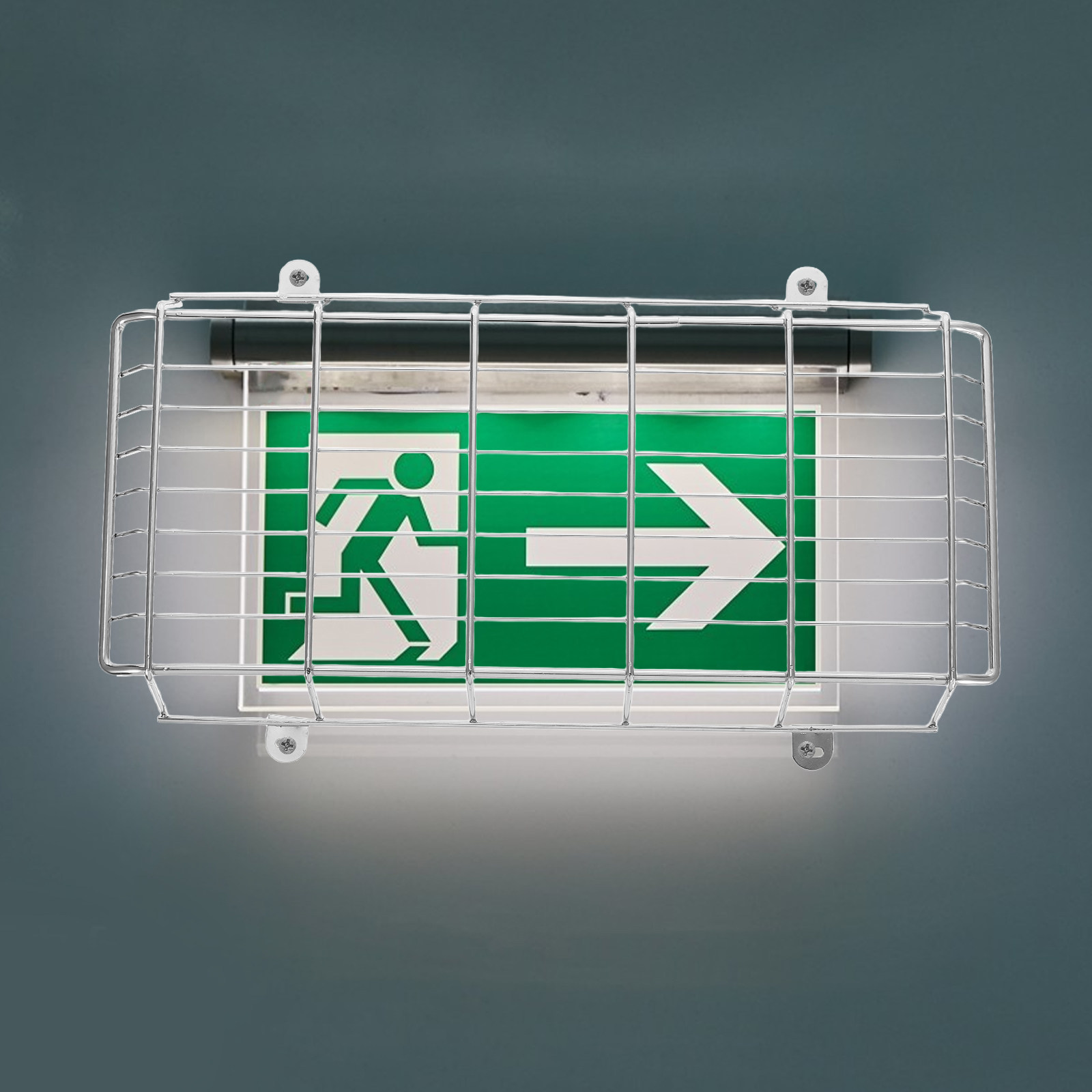 학교 출구 표지판 및 비상등용 금속 안전 와이어 가드  - Emergency Exit Sign 리뷰 및 가격